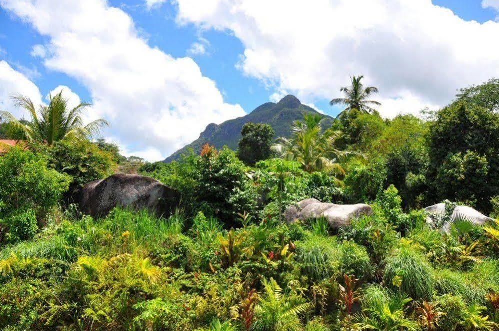 Hanneman Holiday Residence Beau Vallon  Buitenkant foto